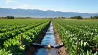 Grand Junction: Farmers Concerned by Colorado River