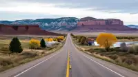 Grand Junction Wildlife Crashes Peak: Drive Safe, Mesa