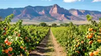 Grand Junction Urged: Build CO's Quantum Economy On-Ramp