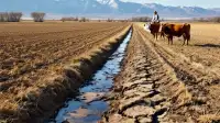 Colorado River: Lake Powell Delay Impacts Grand Junction